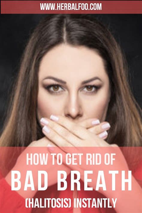how to get rid of bad breath without going to your dentist chronic bad breath bad breath bad