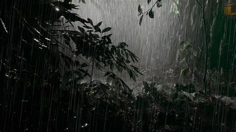 Sleep Fast With Cool Heavy Rain In Forest And Very Strong Thunder On