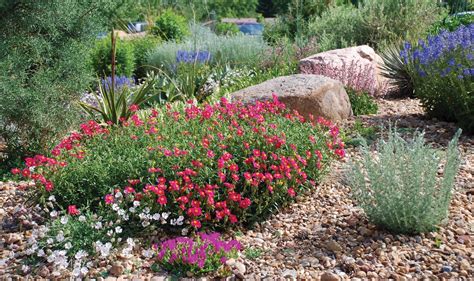 Colorful Flowers Xeriscape Front Yard Xeriscape Texas