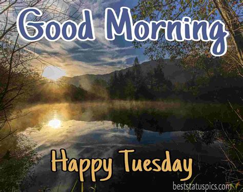 53 good morning happy tuesday images hd wishes [2021] best status pics