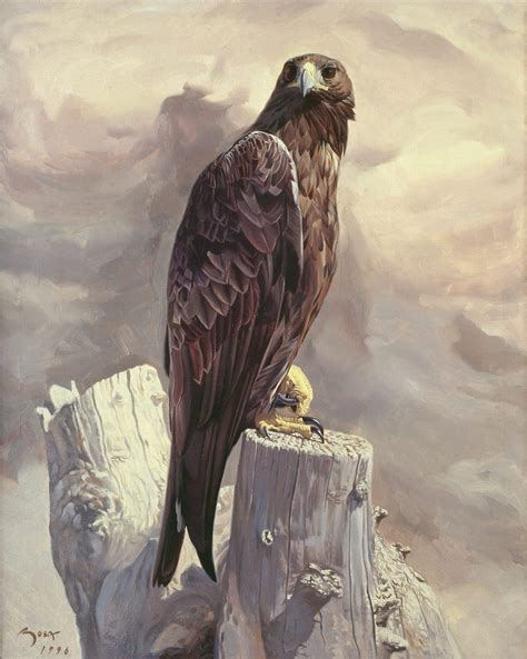 Golden Eagle Portrait Painting The Wildlife Art Of Manuel Sosa