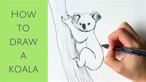 How To Draw A Koala On A Tree Peepsburgh