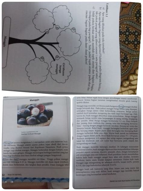 Kelas 10 sma bahasa inggris buku siswa. Kunci Jawaban Buku Bahasa Indonesia Kelas 7 Halaman 138 ...