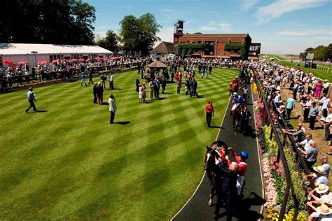 Newmarket Racecourses Visit East Of England