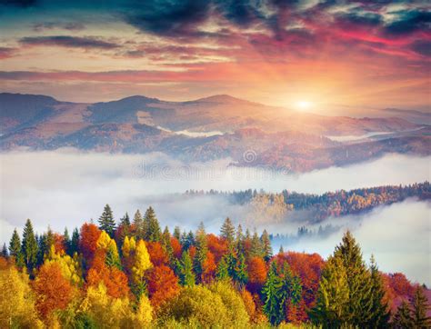 Colorful Autumn Sunrise Carpathian Mountains Stock Photos Download
