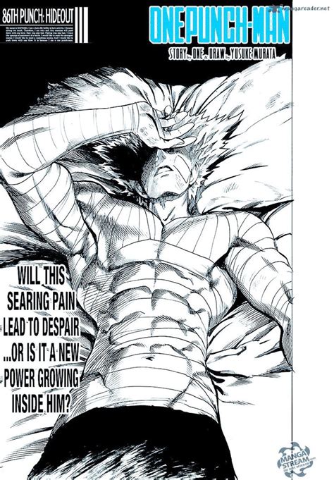 Hero Hunter Manga One Punch Man Garou One Punch Man