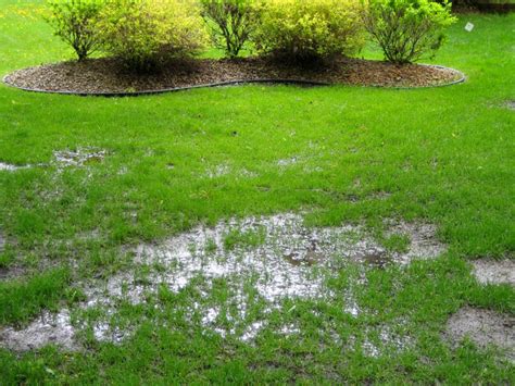 6 Backyard Flooding Solutions For Landscaping A Storm Proof Yard