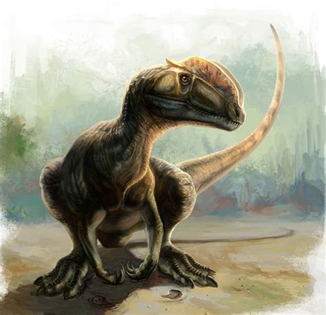 Dilophosaurus Dinosaurio Terópodo Del Jurásico De Norteamérica 190ma