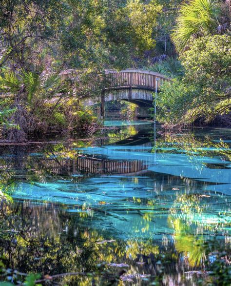 The Ultimate Florida Springs Guide