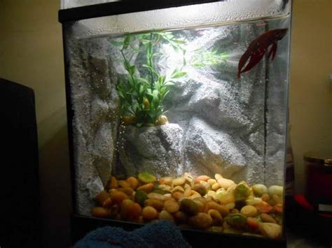 Memiliki rumah yang nyaman, cantik dan tidak membosankan adalah impian banyak orang. Hiasan Aquarium Unik dan Keren Sekarang Ini