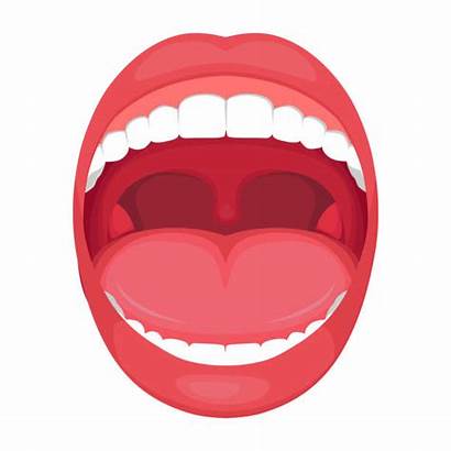 Mouth Open Human Anatomy Vector Tonsil Diagram