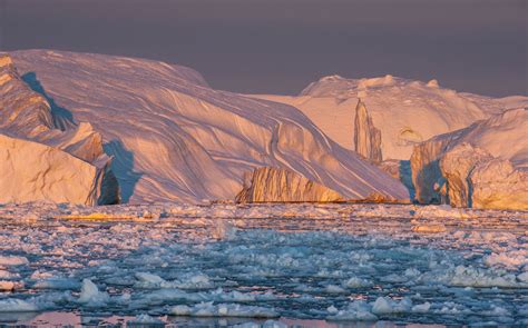 Giganten der Arktis Foto & Bild | north america, greenland, grönland ...