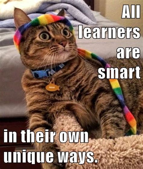 Growth Mindset And Feedback Cats All Learners Are Smart In Their Own
