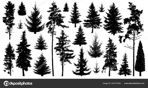 Silhouette Pine Trees Set Forest Trees Isolated White Background