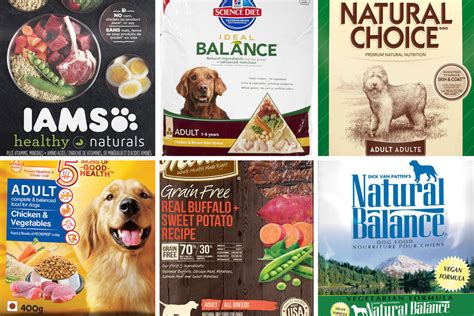 Whats The Best Diet For My Dog One Dog Food Company Is
