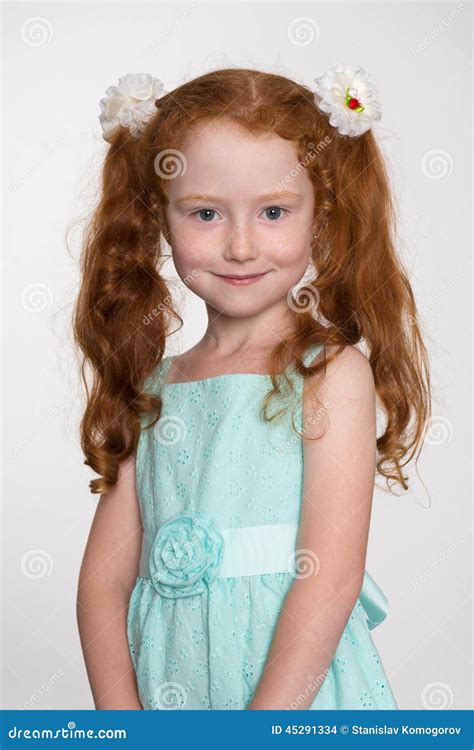 Prachtig Rood Haired Meisje Stock Foto Image Of Vreugde Meisje 45291334