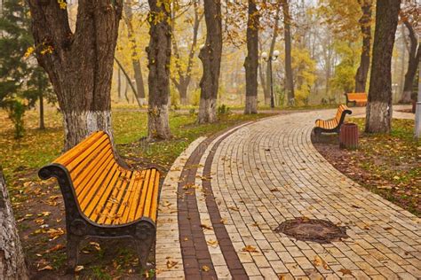 Bench In Autumn Season With Colorful Foliage And Trees Stock Image