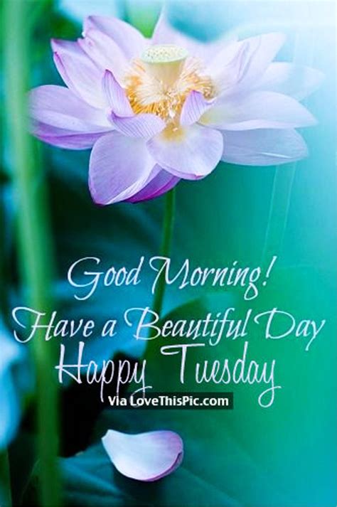 Good Morning Wishes On Tuesday Pictures Images Page