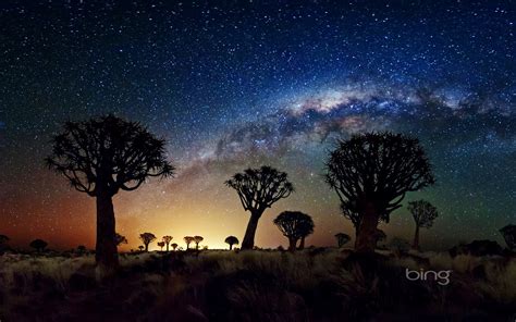 Download The Milky Way Stretches Over Quiver Tree Forest Namibia By
