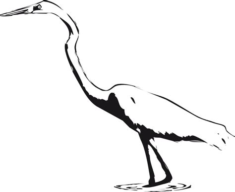 Download Great Egrets Svg For Free Designlooter 2020 👨‍🎨