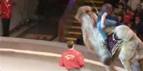 Woman Tries To Ride Circus Camel Things Go Slightly Wrong Video