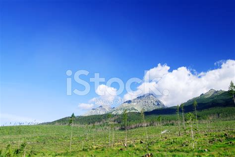 Landscape Stock Photo Royalty Free Freeimages