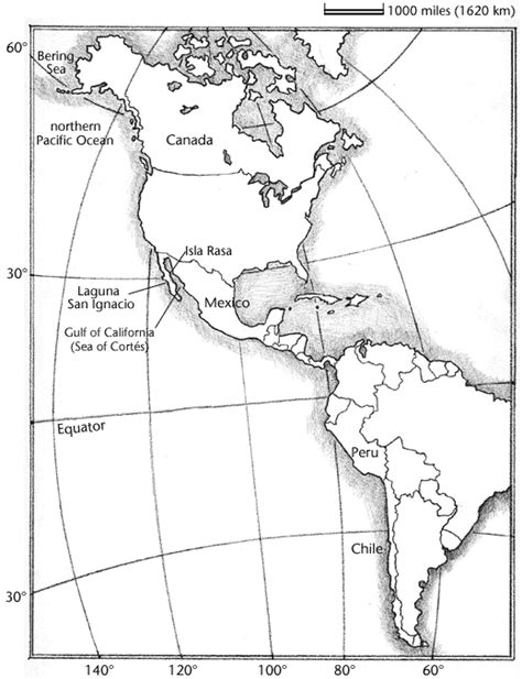 Blank Hemisphere Map