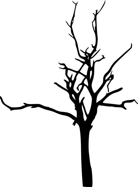 Leafless Tree Illustration Png