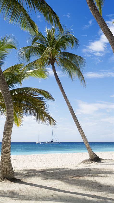 Vertical Background Beach 4k Caribbean Wallpapers Sky Travel Tourism