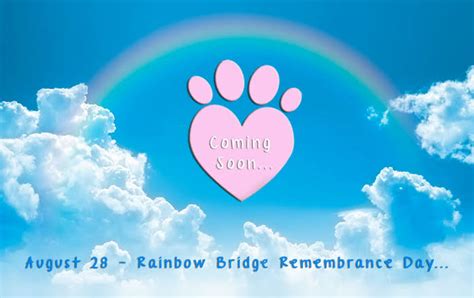 Rainbow Bridge Remembrance Day August 28 2022 History Quotes