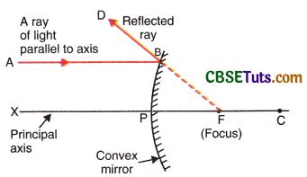 Convex Mirror Ray Diagram Images Formed With Steps And Uses Cbse Tuts