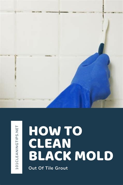 How To Clean Black Mold Out Of Tile Grout Clean