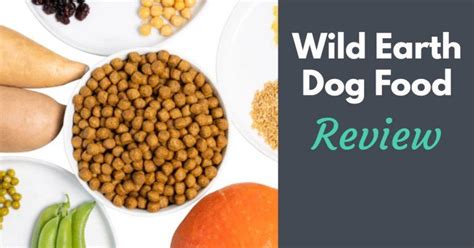 Wild Earth Dog Food Review Dog Endorsed