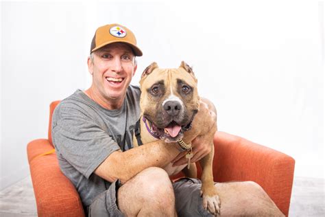 Special Dog Seeks Active Home Adopt Beefy Sidewalk Dog