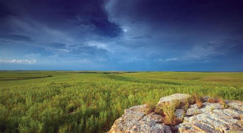 Central Great Plains Grasslands