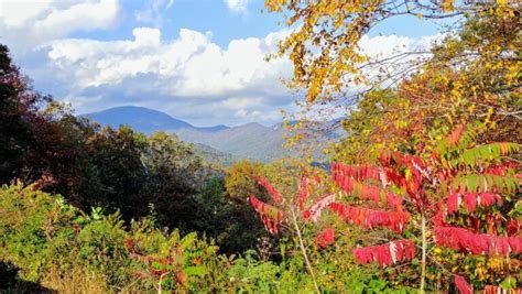 Scenic Drives In The Georgia Mountains 🚗 Ga Mountains Guide