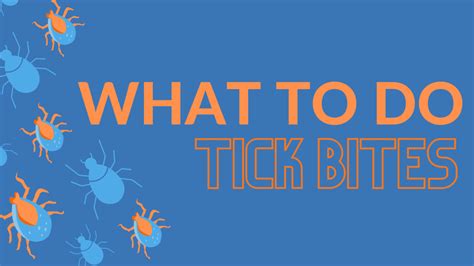 What To Do After A Tick Bite Go2 Pros