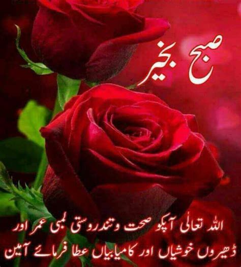 We did not find results for: Pin on Urdu duas