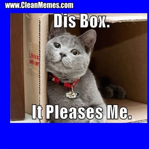 Funny cat memes, cute cats, hilarious kitten videos and more. Pin by Clean Memes on Clean Memes | Cat memes clean, Funny ...