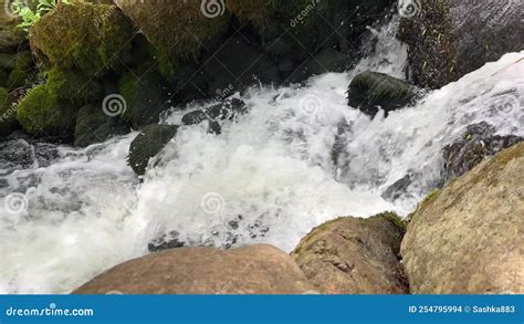 Stormy Stream Of A Small Waterfall In The Forest Water Flows Between