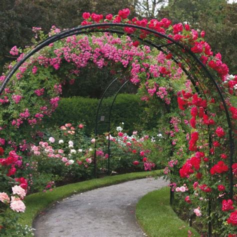 Garden Arch Trellis Foter