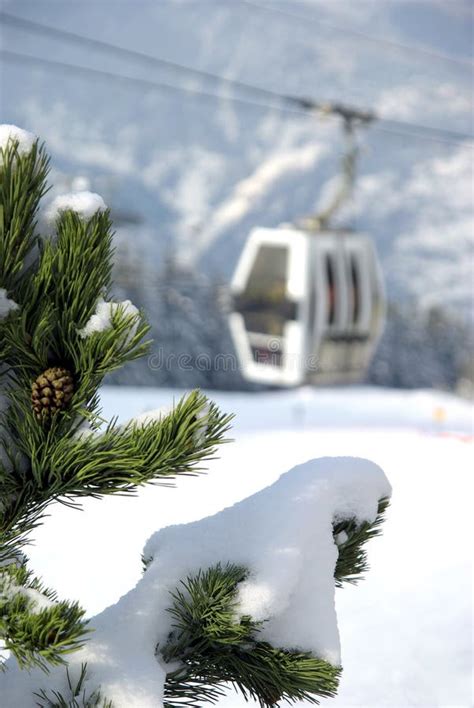 Enclosed Ski Gondola Stock Photo Image Of Mountains Leisure 8559620