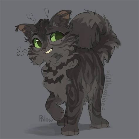 Willowshine by GrayPillow on DeviantArt Иллюстрации кошек Кошачий