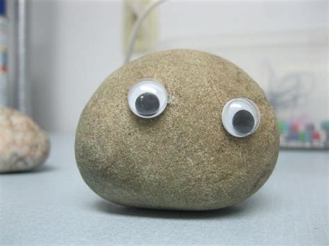 I am rock and roll 12. Arts&Crafts: PET ROCKS!