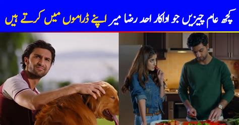 Few Common Things Ahad Raza Mir Does In His Dramas Reviewitpk