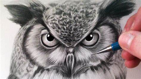 How To Draw An Owl Owls Drawing Realistic Drawings Animal Drawings