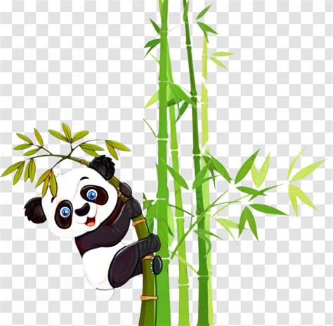 Giant Panda Bamboo Clip Art Bear Cartoon Transparent Png