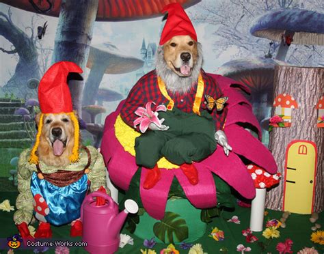 The Garden Gnomes Dogs Costume Diy Costumes Under 25