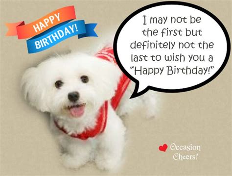 Cute Animals Birthday Wishes For Your Facebook Friends Birthday Party