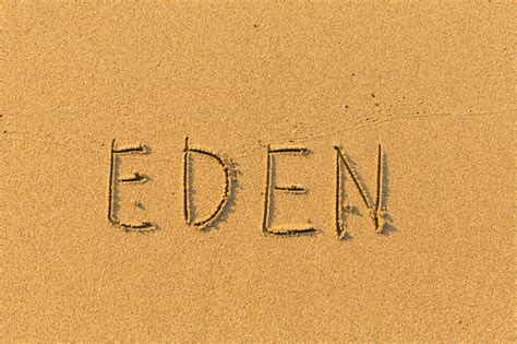 Eden Words Handwritten On Sand Beach Stock Photo Download Image Now